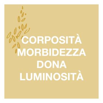 Oltre Semi di Lino Shampoo 250 ml