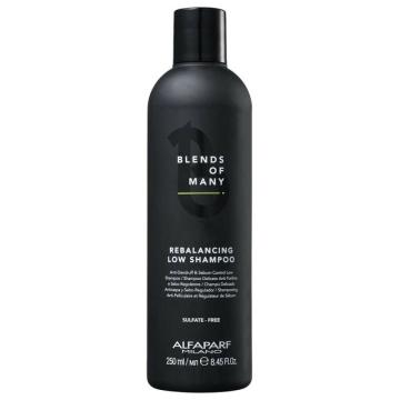 Alfaparf Blends of Many Rebalancing Low Shampoo 250 ml