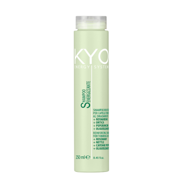 Kyo Energy System Shampoo 250 ml